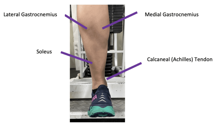 Running after on sale achilles tendonitis